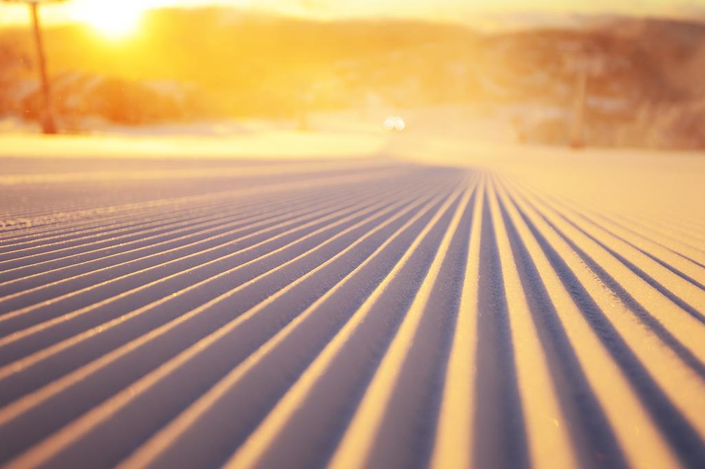 Chalet Apartments - Mt Buller Apartment Rentals Mount Buller Rom bilde